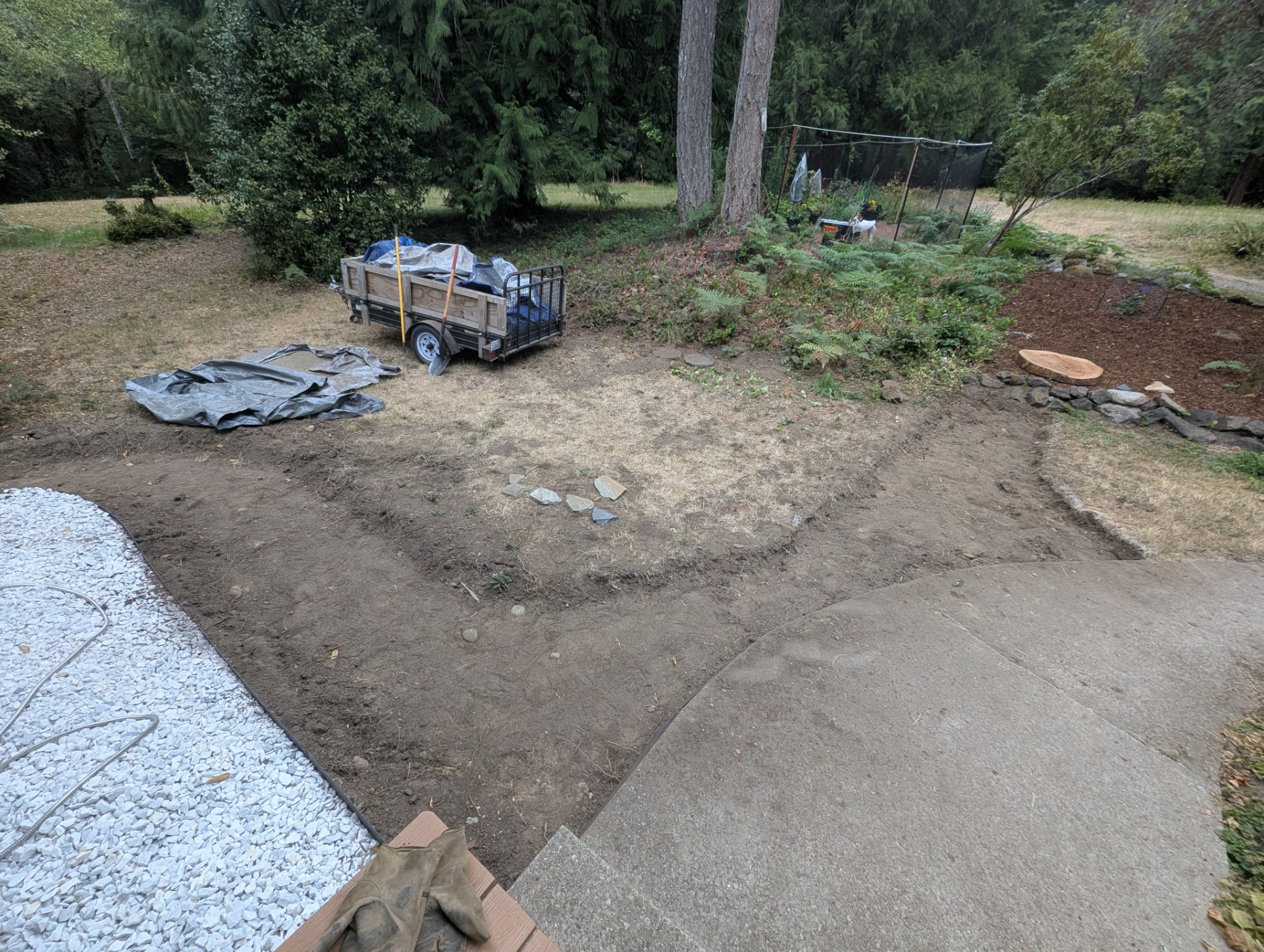 Cleared area, early stage